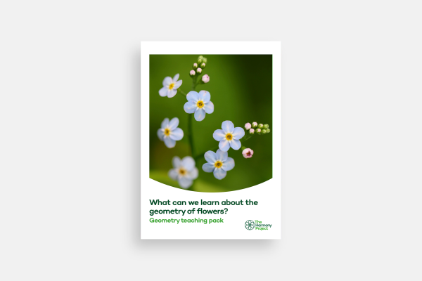 What can we learn about the geometry of flowers